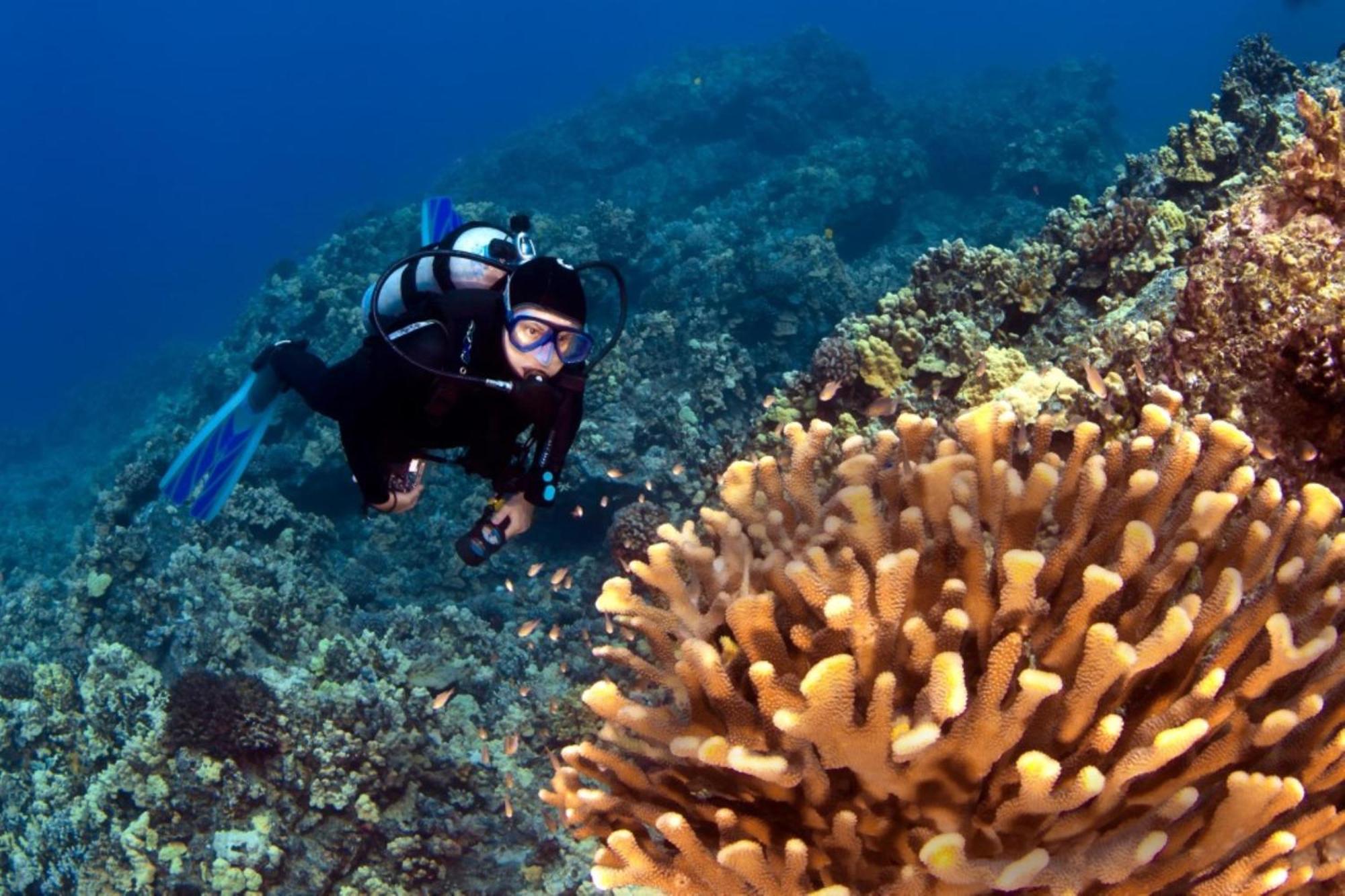 Honua Kai 322 Villa ลาไฮนา ภายนอก รูปภาพ